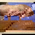 Τηλεκάρτα (1) - Ωρεοί Ευβοίας