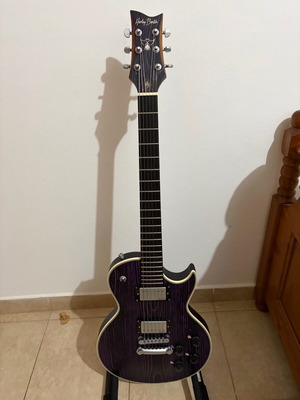 Harley Brenton Custom electric guitar with Mooge processor and travel bag like new