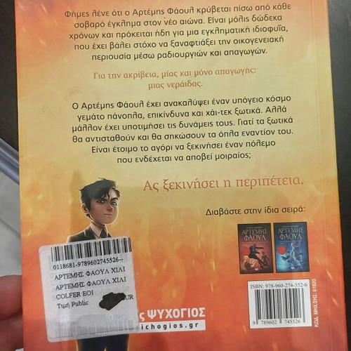 Artemis Fowl children’s book in good condition