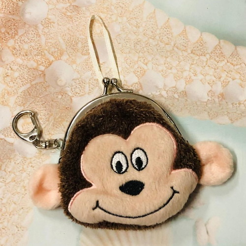 Children's keychain wallet used