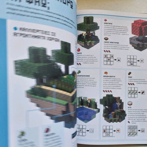 Minecraft book like new