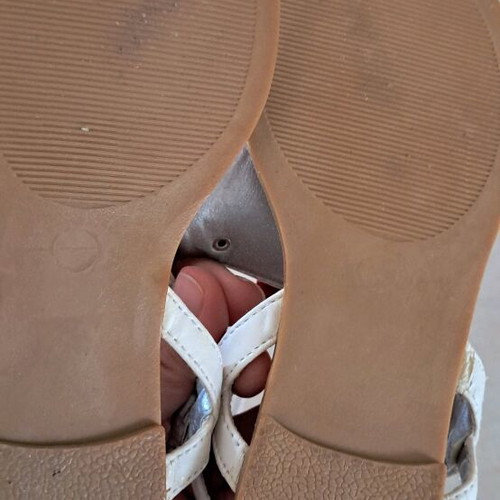 Antrin kids sandal used, size 31, white