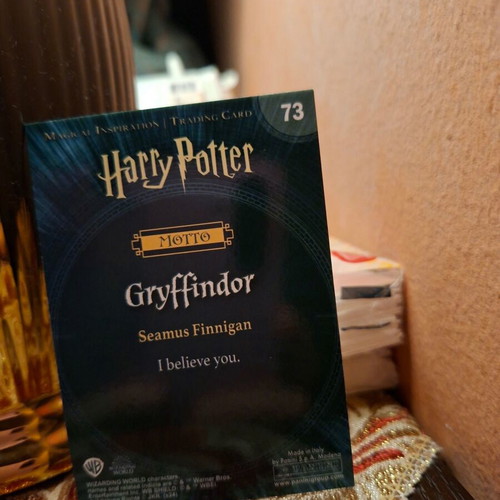 Harry Potter Seamus Finnigan card new collectible Warner Bros