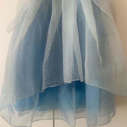 Cinderella costume from Disneyland worn for 2-3 hours