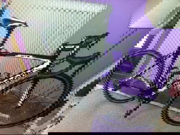 bianchi sempre pro