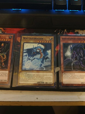 Tiger Dragon, Wattaildragon and Interplanetarypurplythorny Dragon 1st edition new
