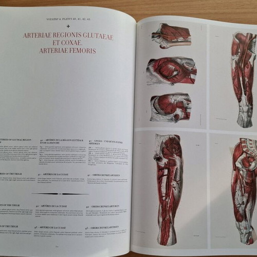 Atlas of Human Anatomy and Surgery TASCHEN like new