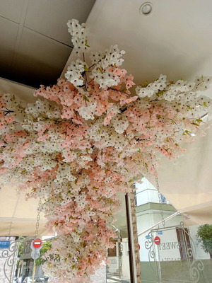 Almond tree used, professional equipment