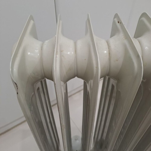 Zass oil-filled electric radiator used 2000W with fan and 12 fins