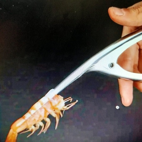 Shrimp shell remover tool stainless steel new