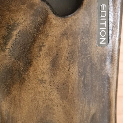 Human Reign HR4 amplifier used