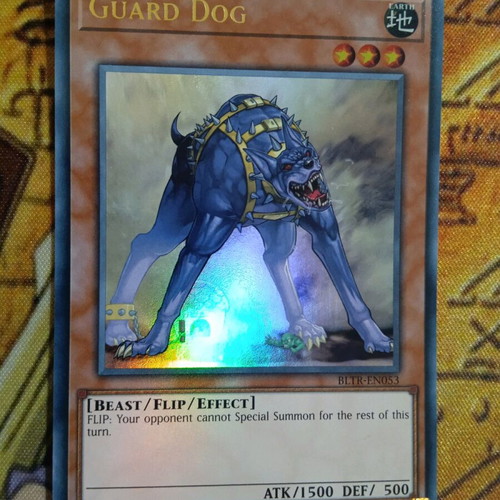 Guard Dog Effect Monster card like new