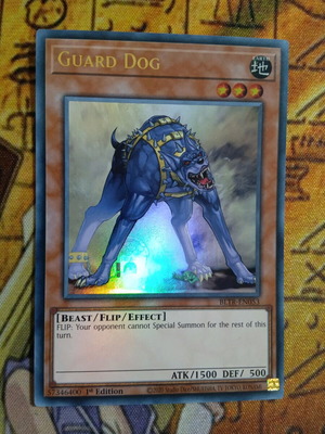 Guard Dog Effect Monster Yu-Gi-Oh! Card in Excellent Condition
