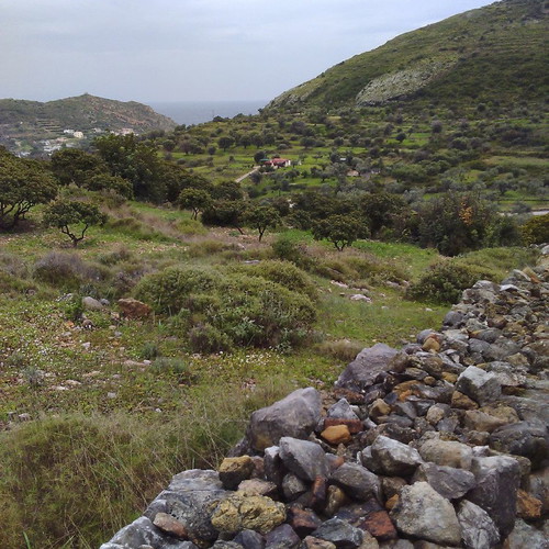 Land 18 acres with olive and mastic trees in Chios, buildable