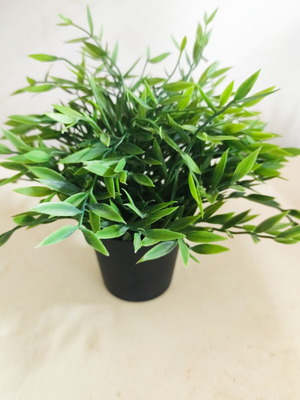 Plastic Ikea flowerpots used, pack of 13