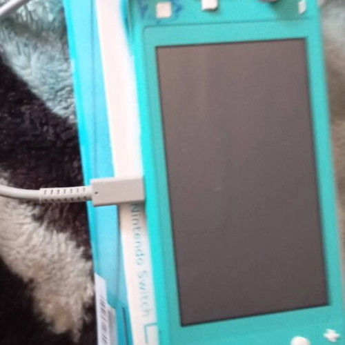 Nintendo Switch Lite console with charger and special controllers