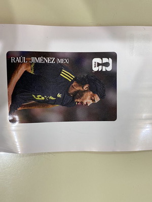 Panini figure Raul Jimenez new