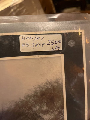 Holiday America vinyl like new, folk rock, 1974
