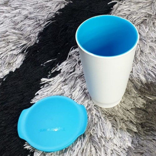 Αλεγκρα ποτήρι ισοθερμικό Tupperware 450 ml Καινούργιο