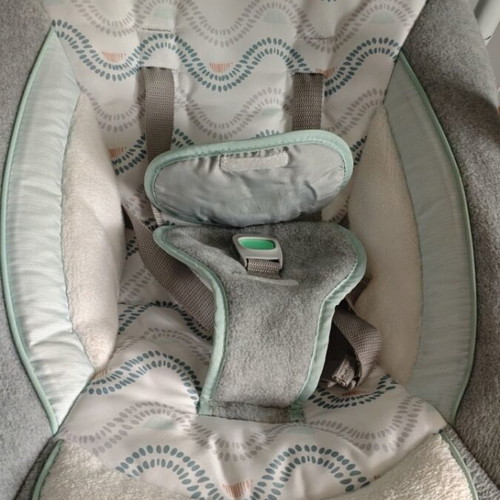 Relax Ingenuity bouncer used with USB and 3 speed settings