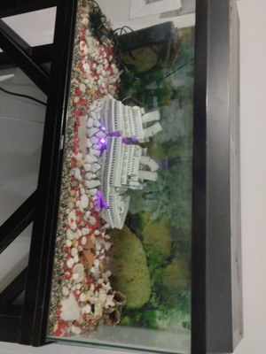 Aquarium like new