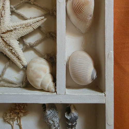 Decorative small frame with seashells like new