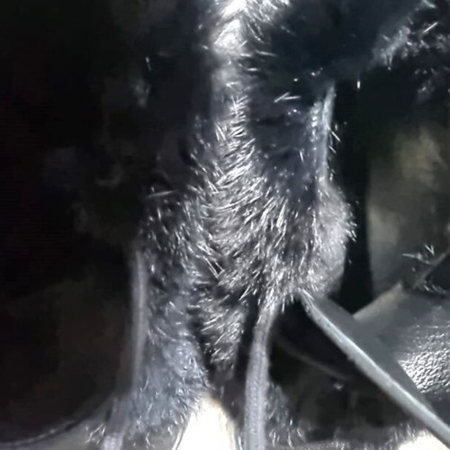 R.Polański boots new, platform suede fur black