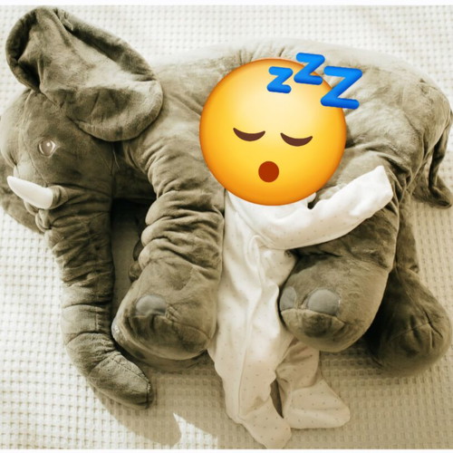 Cuddle Cub Charlie the Elephant plush toy