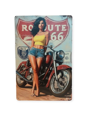 Metal decoration sign new, 30 x 20 cm