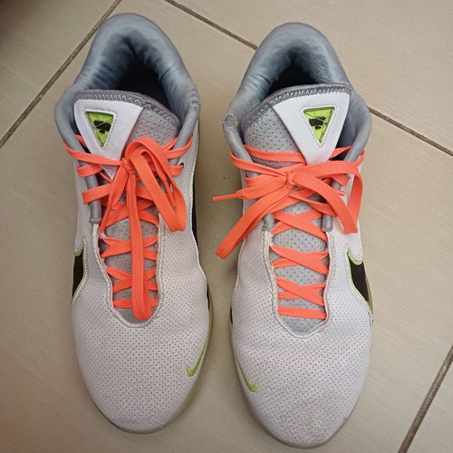 Nike Lebron 22 Crown Jewel low basketball shoes