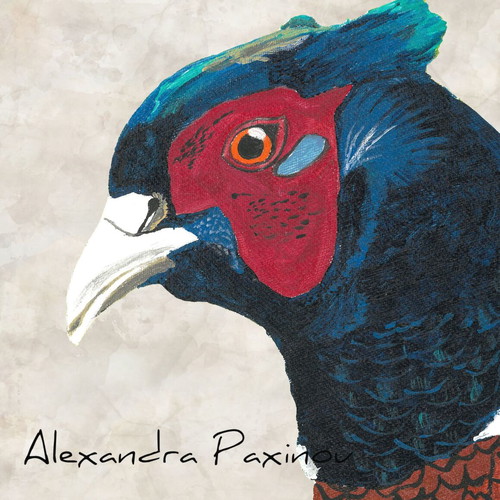 Pheasant Limited Edition Print New, Numbered A3