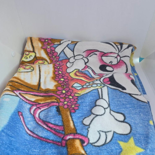 Didl beach towel used