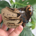 Handmade ceramic octopus cup with handle