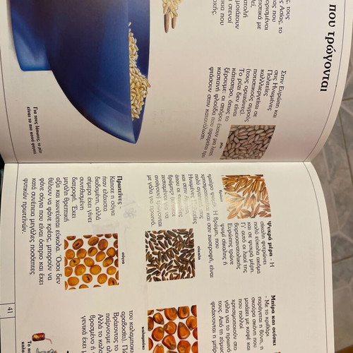Children's knowledge book used