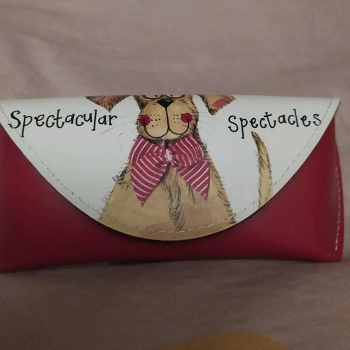 Glasses case