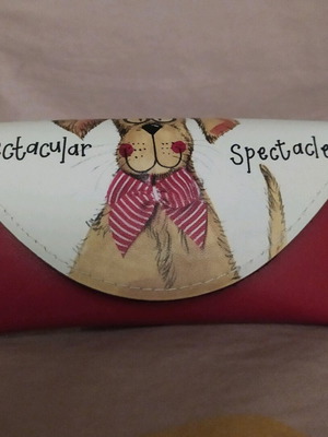 Glasses case