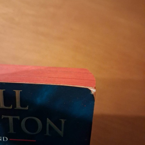 The President's Daughter book used in English