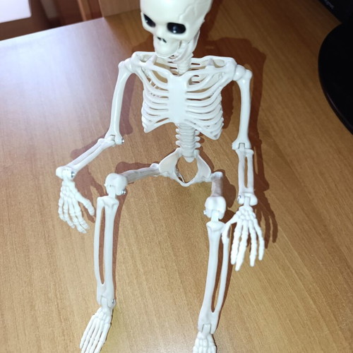 Skeleton Pendant souvenir for Halloween new with movable joints
