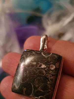 Turritella Agate Fossil Pendant 3cm new, silver plated