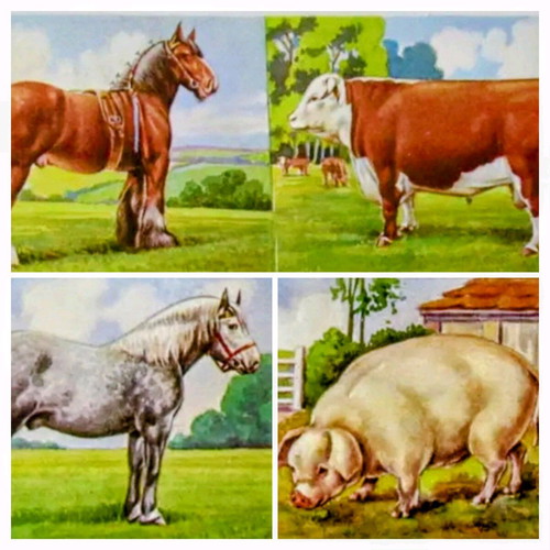Vintage paper scraps with farm animals used, set of 6 pieces