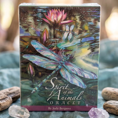 Spirit of the Animals Oracle Card Deck like new by Jody Bergsma