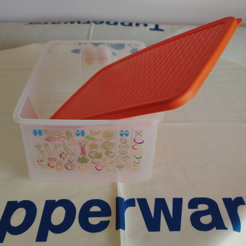 Smart Cooling Container 1.6L new