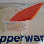 Smart Cooling Container 1.6L new