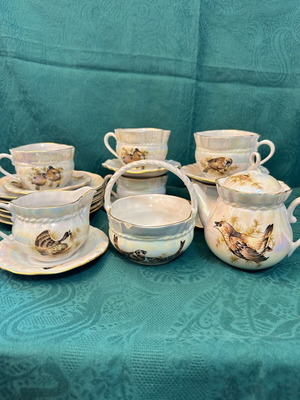 Soviet Birds Korosten Porcelain Set like new for 5 persons