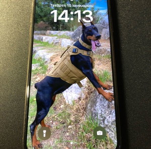 iPhone XS MAX 256Gb
