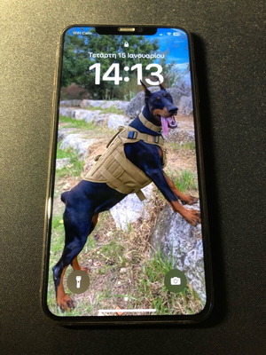 iPhone XS MAX 256Gb