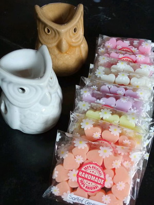 Wax melts set like new with burner, 2 packs, assorted scents