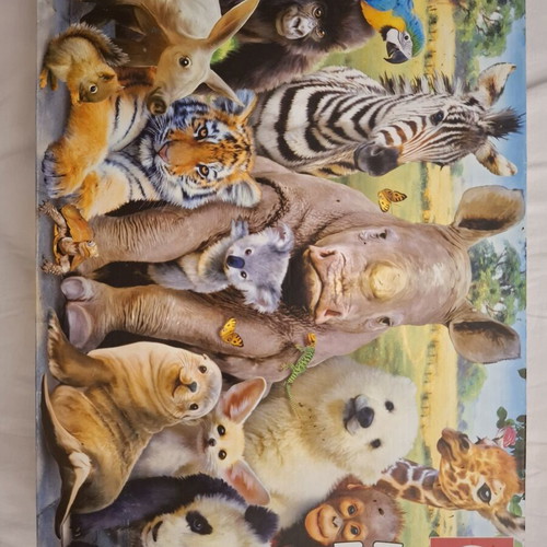 Puzzle 300 pieces used, complete