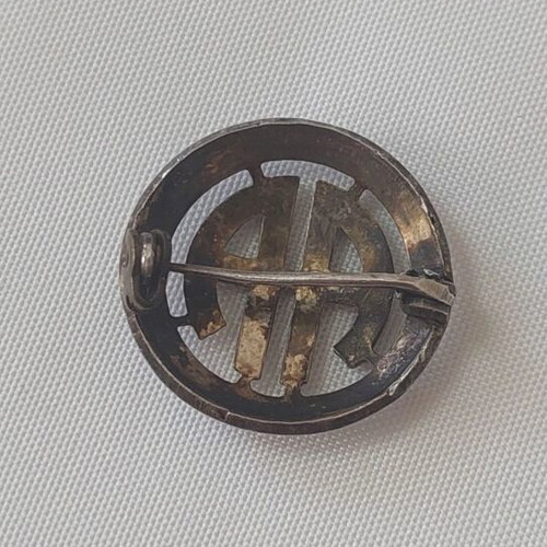Asylon Aniaton Pin 1893 used