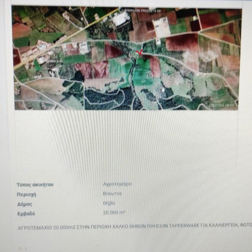 Agricultural land with olive trees 3,687 m² in Chalko Thiva area